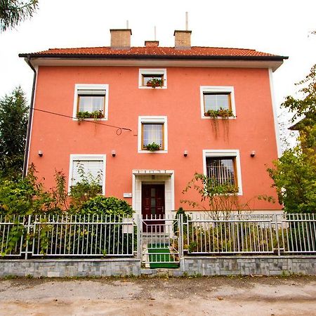 Guest House Pikapolonca ماريبور المظهر الخارجي الصورة