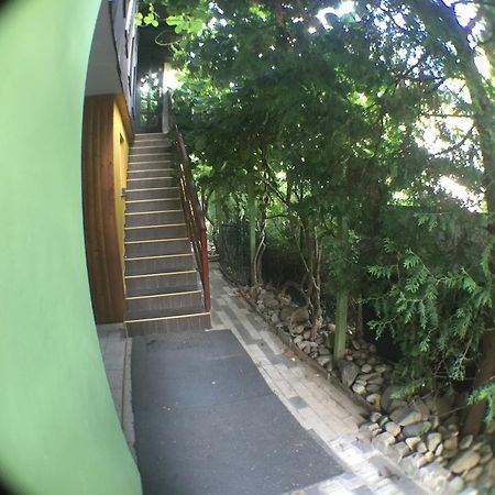 Guest House Pikapolonca ماريبور المظهر الخارجي الصورة